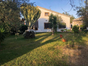 Olive tree villa